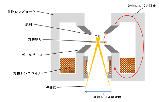 図1 対物レンズを励磁し、高倍率を作る場合