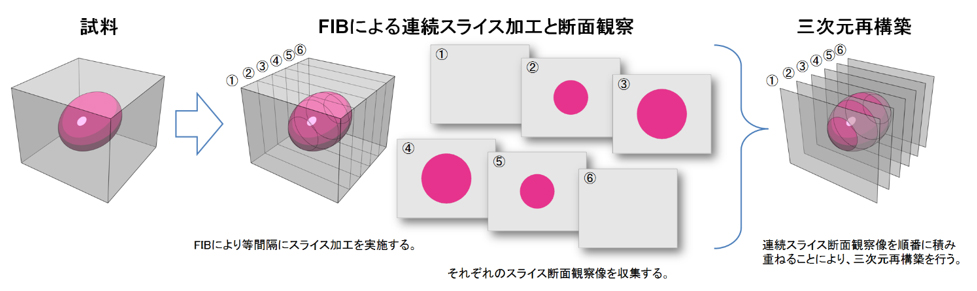 Fig. 1　FIBによる三次元観察の測定原理