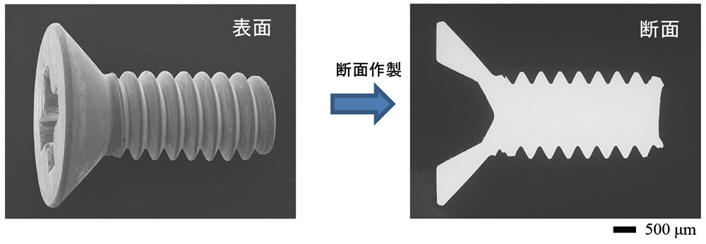 長い作動距離(WD)での広域SEM観察