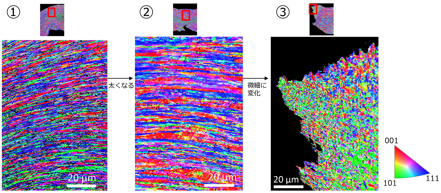 針の外側のEBSD IPF*-Zマップ　1000倍　 *Inverse pole figure