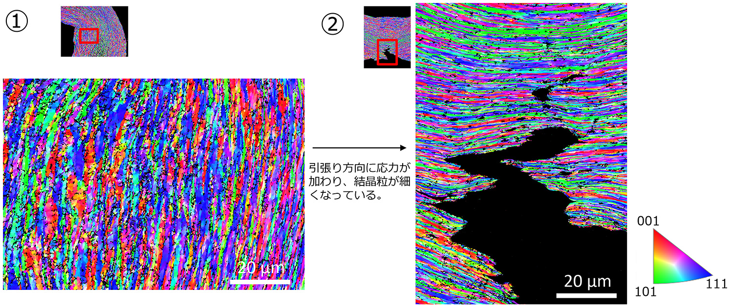 針の内側のEBSD IPF*-Zマップ　1000倍　 *Inverse pole figure