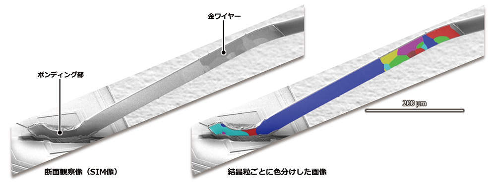 Fig. 4 ボンディングワイヤーの断面観察像 (SIM像)