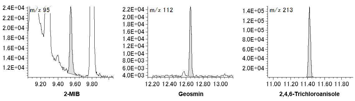 Figure 2. EIC of 2-MIB, Geosmin (1ppt), and 2,4,6-Trichloroanisole(20ppt)