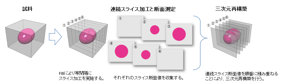 Fig. 2 FIB-SEMによる三次元測定の測定原理