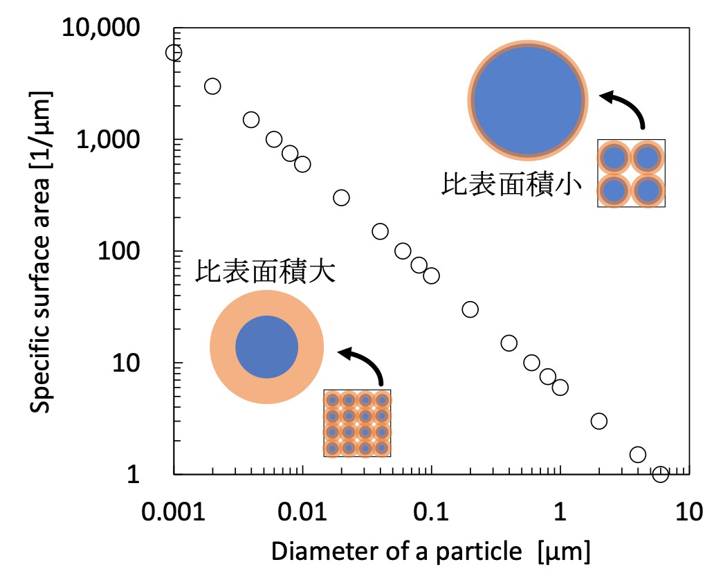 図1　球体粒子の直径と比表面積の関係