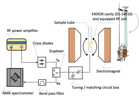 図2 ENDOR cavity (ES-14010) を用いた、TD-NMR測定 (ωH/2π=14.55 MHz) ブロック図の1例