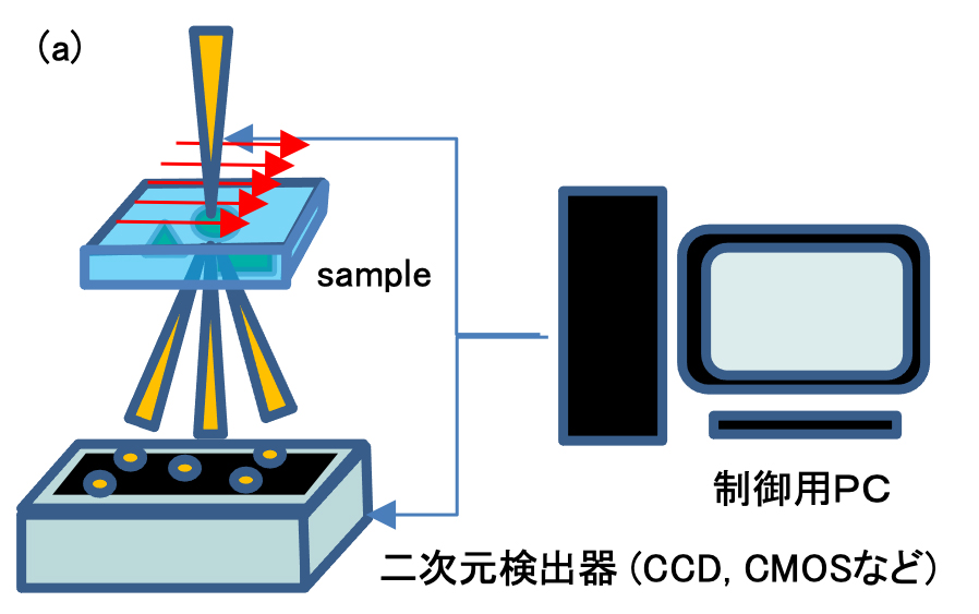 Fig. 1 (a)