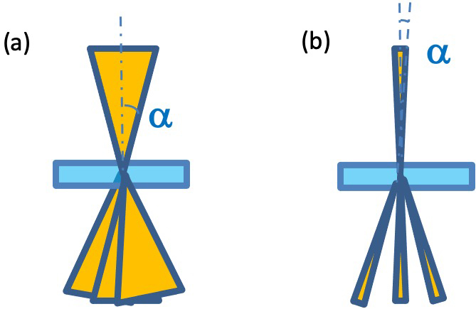 Fig. 5