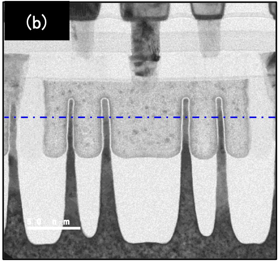 Fig. 2 (b)