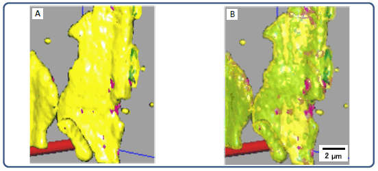 Fig. 4