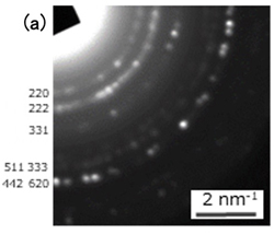 Fig. 4 (a)