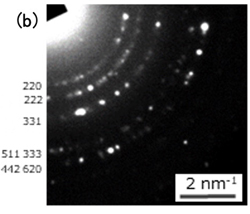 Fig. 4 (b)