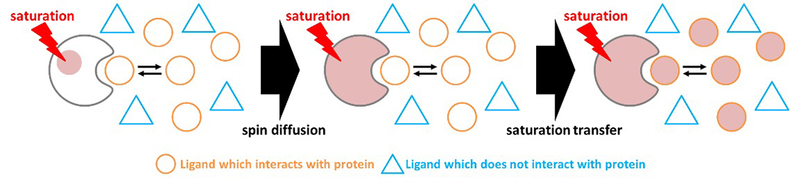 Fig.1