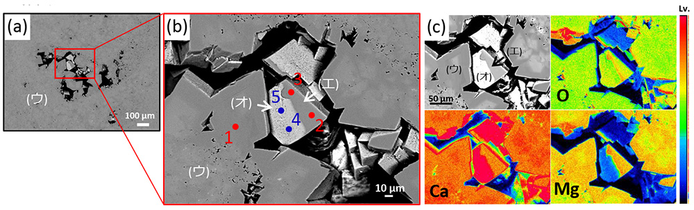 図3 試料2の (a) BSE像(x100)　(b) BSE像(x400)　(c) 元素マップ