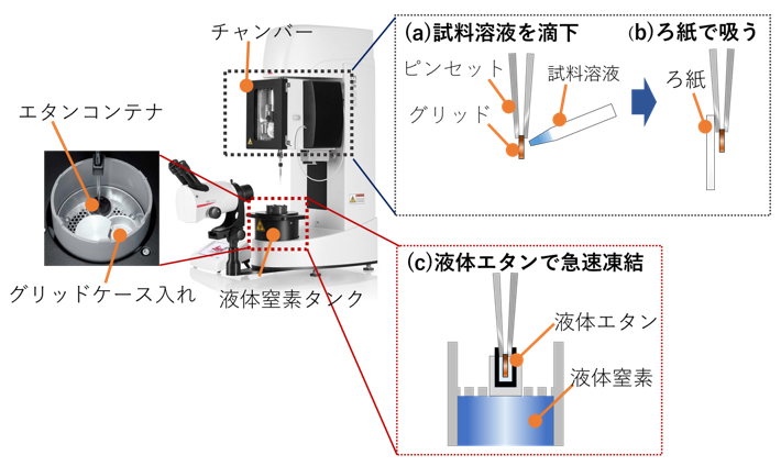 Fig. 2