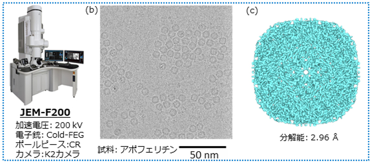 Fig. 5(b) (c) JEM-F200