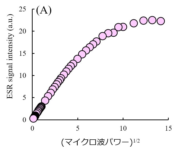 図2 (A) TEMPOL (水溶液)