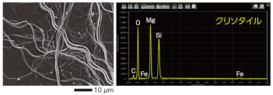 SEM / EDS によるアスベストの観察結果と元素分析結果 クリソタイル