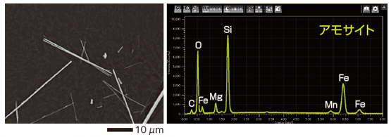 SEM / EDS によるアスベストの観察結果と元素分析結果 アモサイト