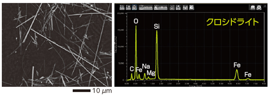 SEM / EDS によるアスベストの観察結果と元素分析結果 クロシドライト
