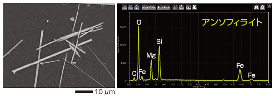 SEM / EDS によるアスベストの観察結果と元素分析結果 アンソフィライト
