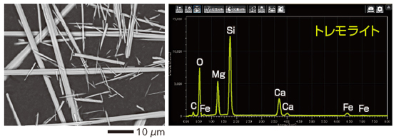 SEM / EDS によるアスベストの観察結果と元素分析結果 トレモライト