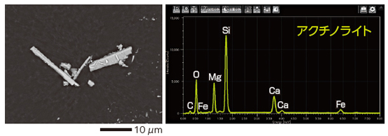 SEM / EDS によるアスベストの観察結果と元素分析結果 アクチノライト