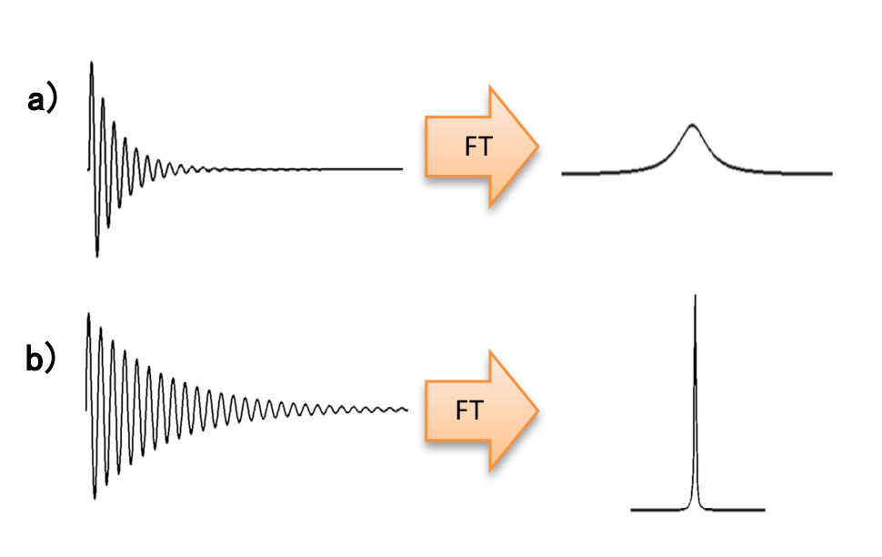 図1: NMR信号の長さと信号の線幅