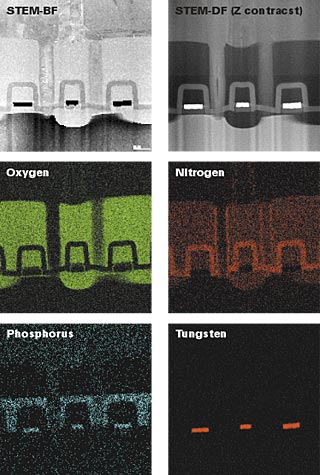 STEM 明視野像（BFI）/暗視野像（DFI）とEDSを使用した元素マッピング像