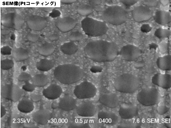断面のSEM像