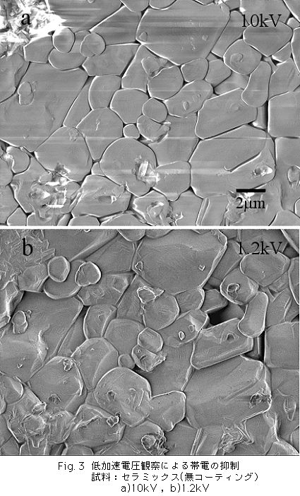 Fig.3 低加速電圧観察による帯電の抑制