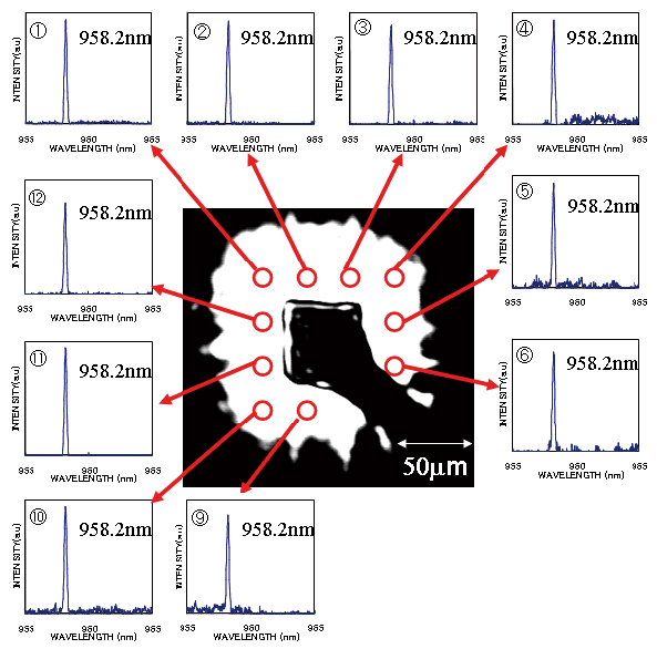 Fig.3 Near-field pattern with lasing spectra at various points of the device.