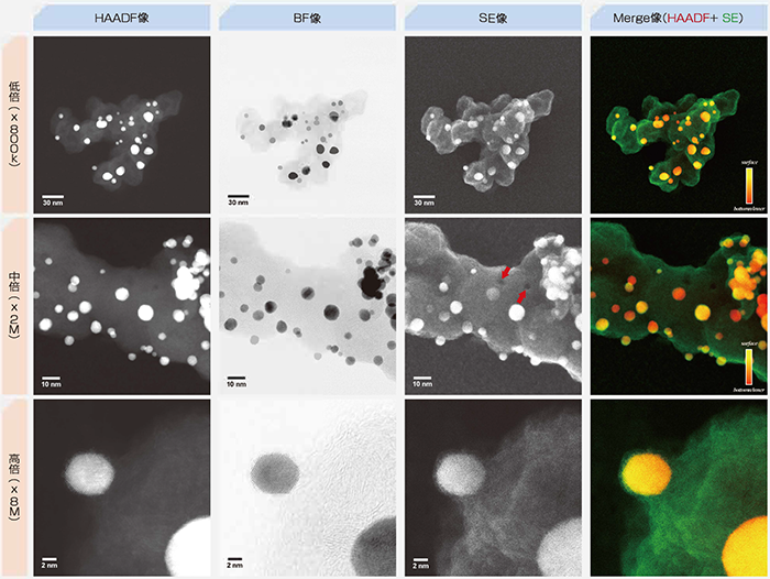 カーボン担体表面の観察(STEM-SEM同時観察）