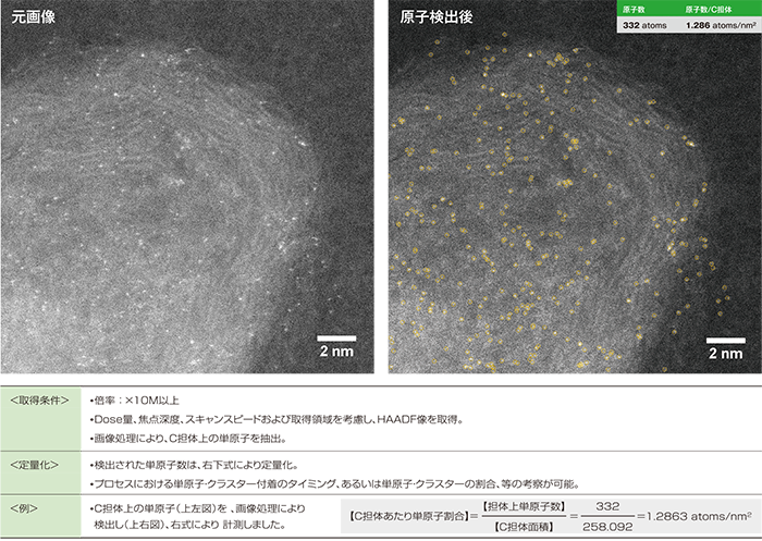 カーボン担体上の単原子の観察