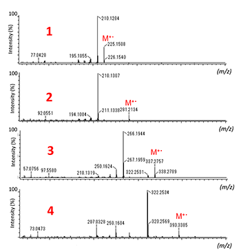 EI mass spectra 