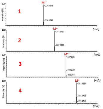 FI mass spectra 