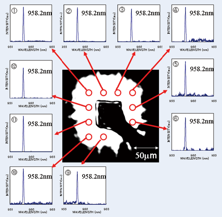 Fig.3 レーザ発振後の近視野像および各部の発振スペクトル