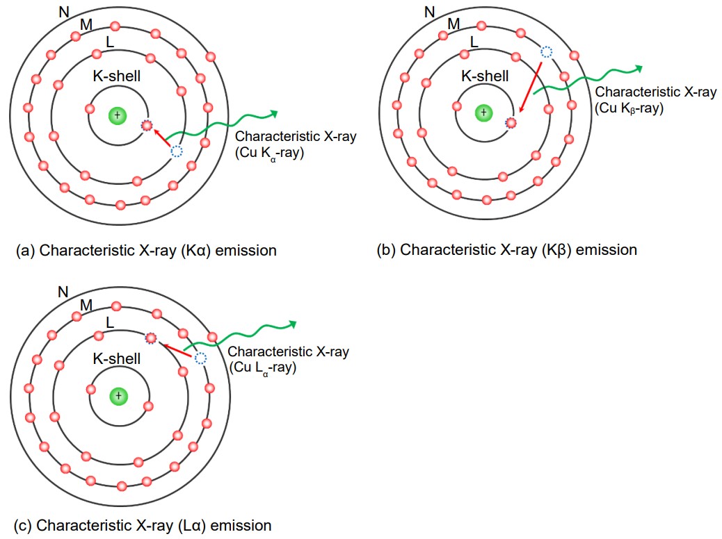 特性X線 (EDS) | 用語集 | JEOL 日本電子株式会社