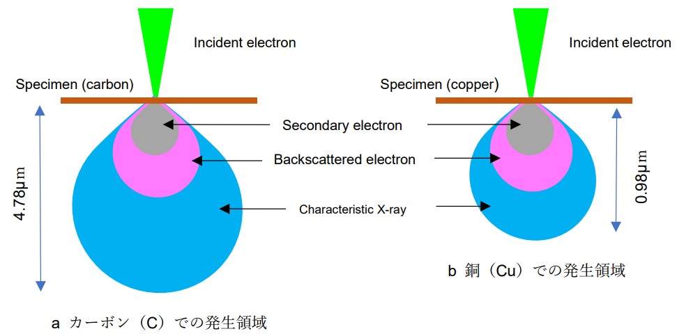 特性X線 (EDS) | 用語集 | JEOL 日本電子株式会社
