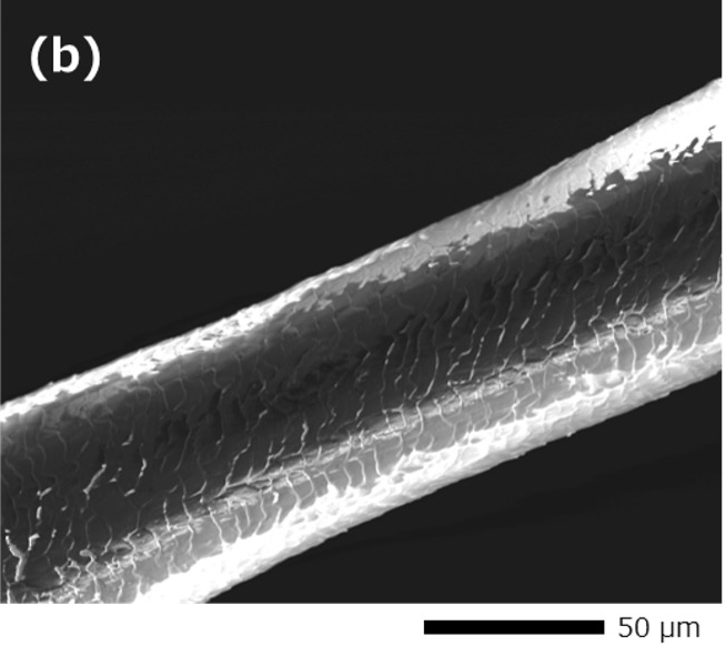 Fig. 1 (b)