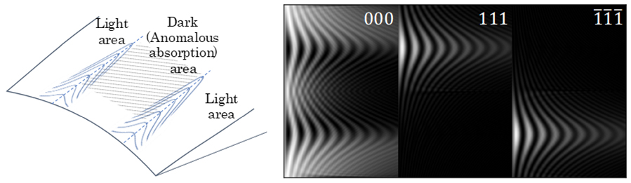 anomalous absorption_02