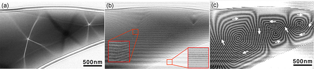 電子線ホログラフィー electron holography