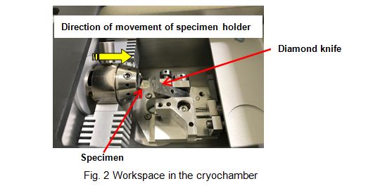 Workspace in the cryochamber
