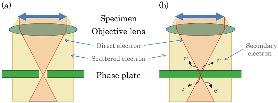 phase plate