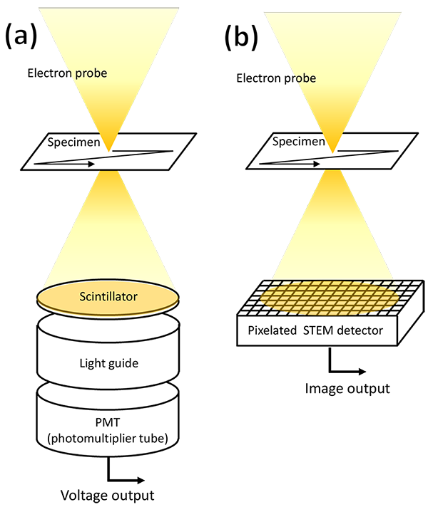 pixelated STEM detector