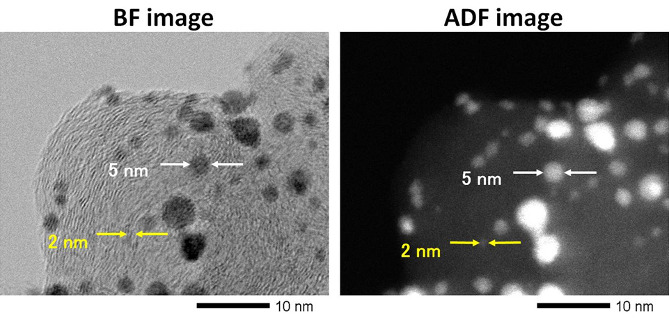 STEM image, scanning transmission electron microscope (STEM) image