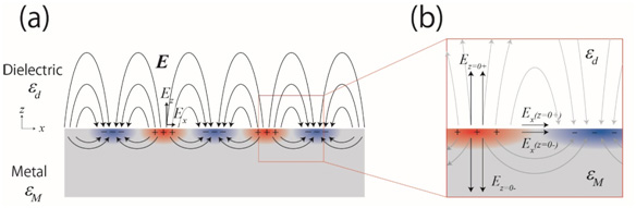 surface plasmon