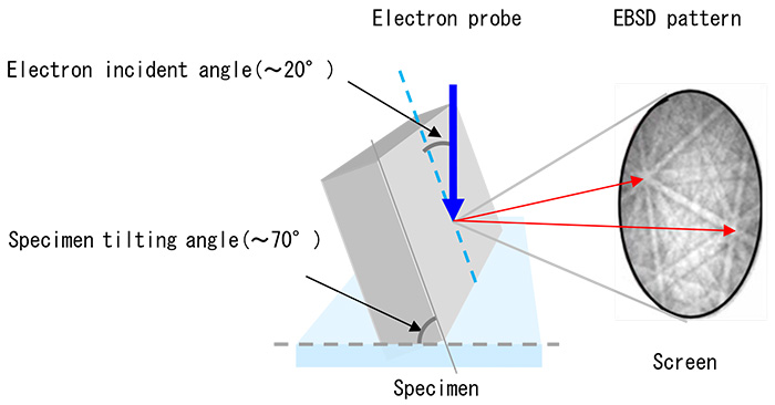 electron backscatter diffraction