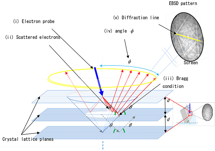 electron backscatter diffraction