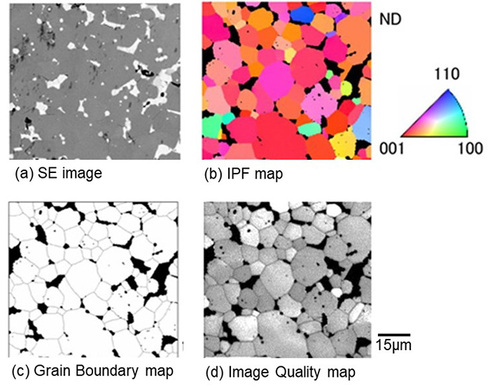 electron backscatter diffraction